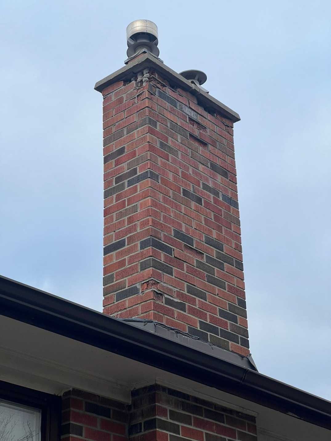 WhatsApp Image 2026 02 26 at 11.16.37 AM 1